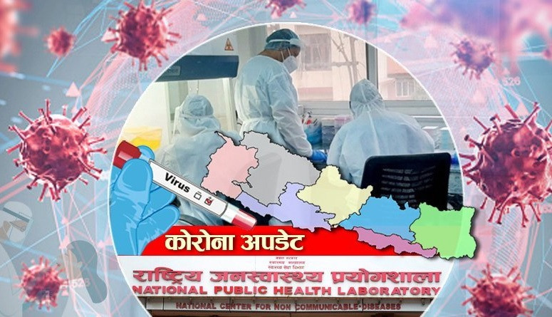  पछिल्लो २४ घण्टामा ५० जनामा कोरोना सङ्क्रमण पुष्टि