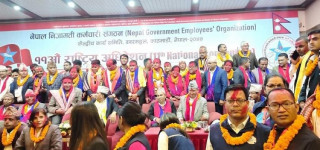 एमाले निकट नेपाल निजामती कर्मचारी सङ्गठनमा लेखनाथ कोइराला