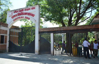 ललितपुर महानगरलाई चिडियाखानाको बाघ पाल्ने जिम्मा 