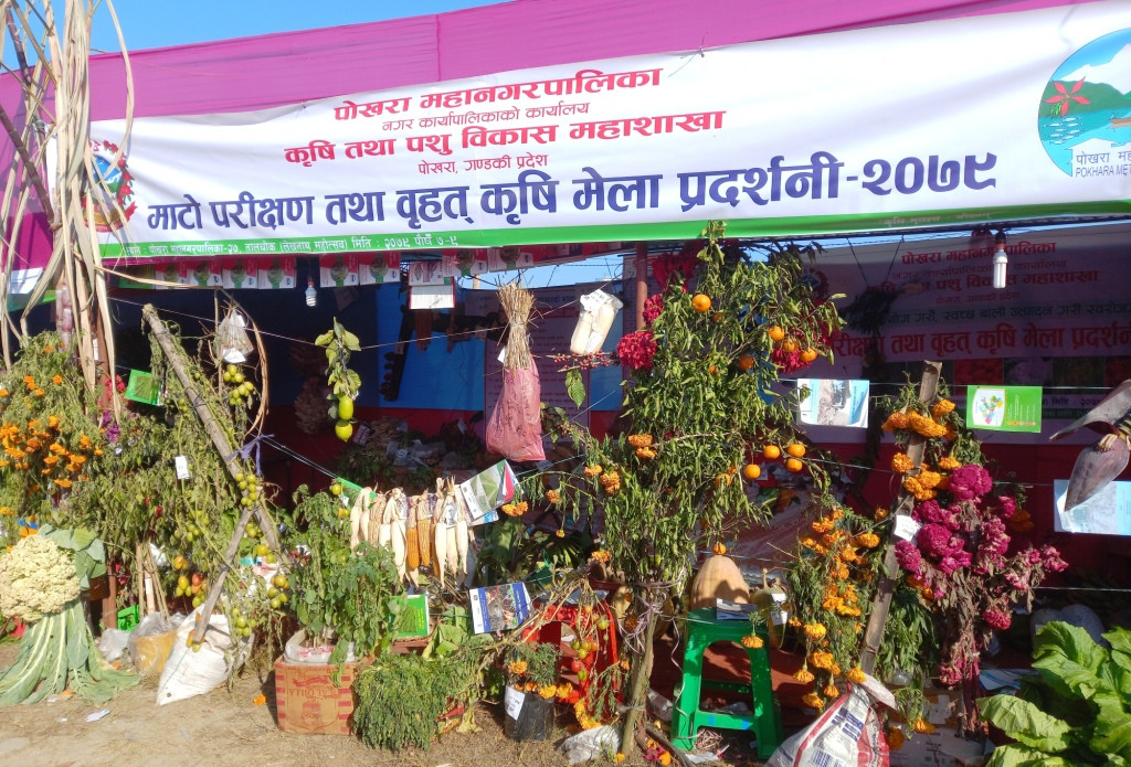 कृषकको पनि महोत्सव लेखनाथ महोत्सव !