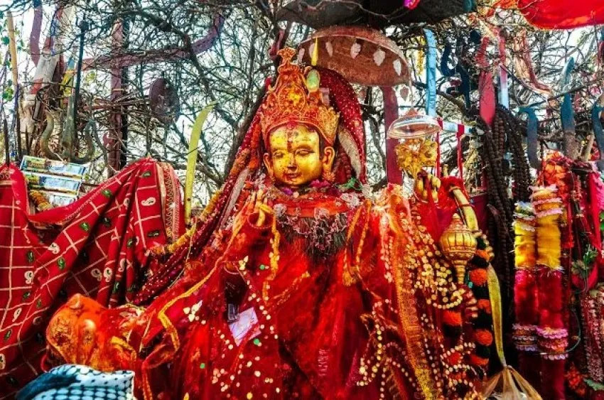 पाथीभरा माताले सबैको कल्याण गरुँन ! हेर्नुहोस् आज माघ २४ गतेको राशिफल