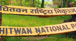 नीतिगत स्थिरता नहुँदा चितवन राष्ट्रिय निकुञ्जमा हुने पर्यटकीय गतिविधि प्रभावित 