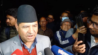 'राष्ट्रपतिमा पौडेल विजयी हुने सुनिश्चित भइसकेको छ' :  प्रमुख सचेतक ज्वाला