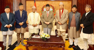प्रधानमन्त्री प्रचण्ड र प्रदेश प्रमुखहरूबीच भेटवार्ता