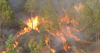 देशका विभिन्न भागमा डढेलोको संख्यामा वृद्धि, वायु प्रदुषण बढ्दो 
