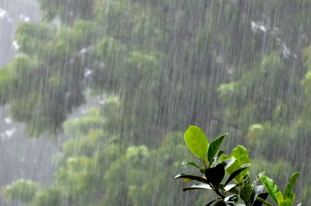 आजको मौसम : देशभर बर्षा हुने सम्भावना