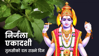 आज निर्जला एकादशी : घर घरमा तुलसीको दल राखिँदै