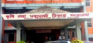 कृषिका १० कार्यक्रममा शून्य बजेट