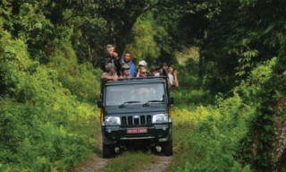 शनिबारदेखि चितवन निकुञ्जभित्र सफारी किन बन्द ? 