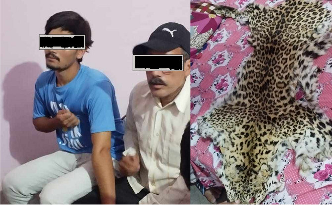 चितुवाको छालासहित दुई जना प्रहरीबाट पक्राऊ