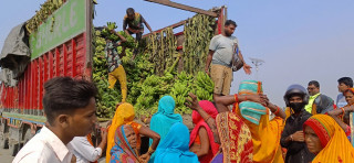 छठका लागि चार करोडको केरा आयात