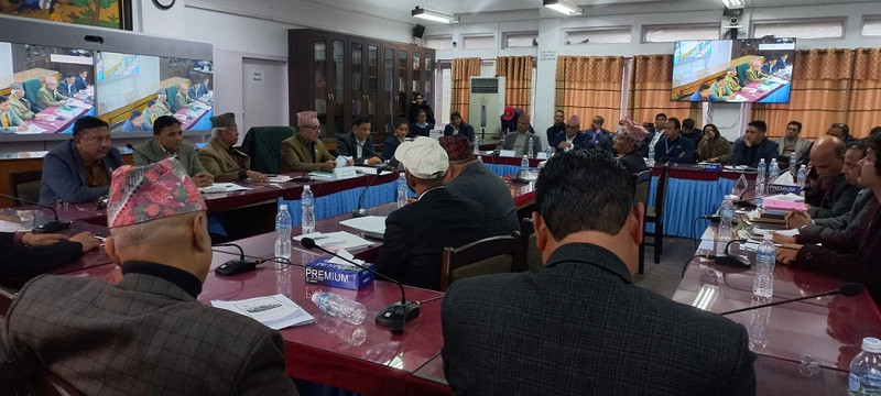 ४८ घण्टाभित्र धारणा सार्वजनिक गर्न सरकारलाई निर्देशन