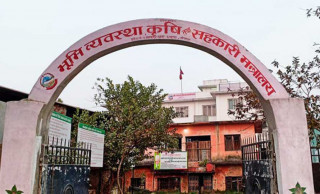 जनकपुरधाम मन्त्रालयमा व्यापक भ्रष्टाचार गरे पनि कुनै निकायले कारबाही प्रक्रिया अगाडि नबढाए भन्दै पिडित कृषक समुदायले संचारकर्मी सँग गरे आग्रह  ।