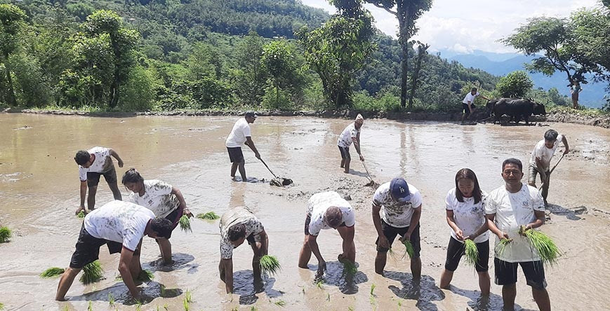 असारे गीतले थकाइको महसुस हुँदैन
