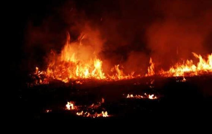 युक्रेनी ड्रोन आक्रमणबाट दक्षिण रुसमा इन्धन भण्डारमा आगलागी