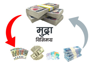 के तपाईं विदेशी मुद्रा साट्दै हुनुहुन्छ ? थाहा पाउनुस् बुधबारको सटही दर