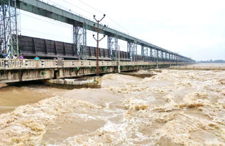 कोशी ब्यारेजका ५६ वटै ढोका खोलिए