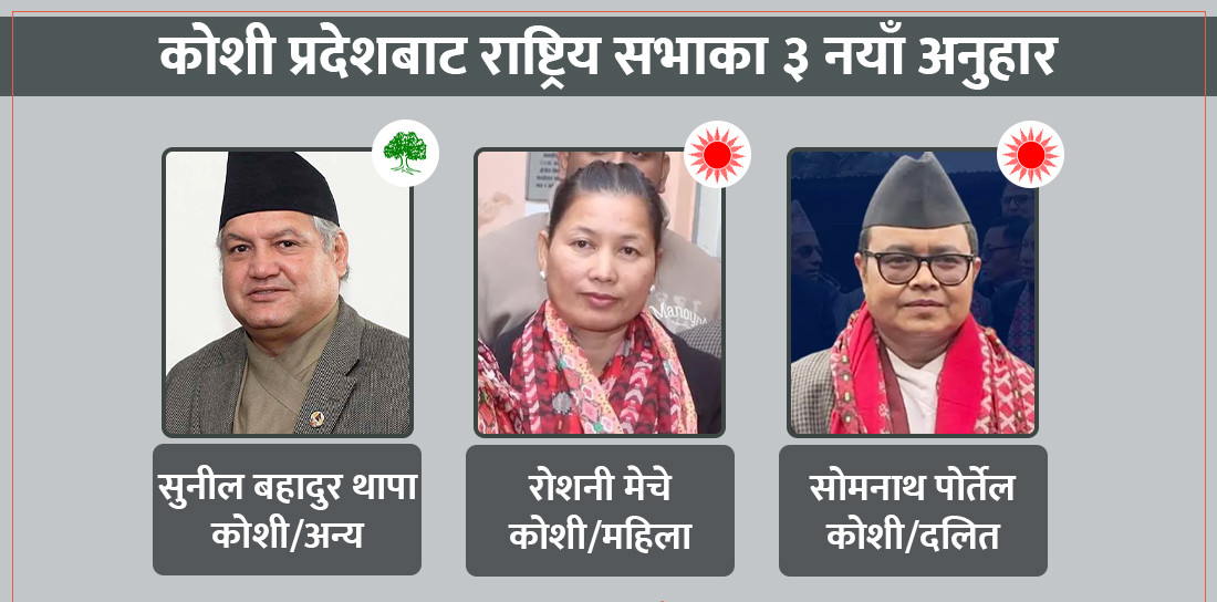 कोशीबाट राष्ट्रिय सभामा निर्वाचित उम्मेदवारहरु